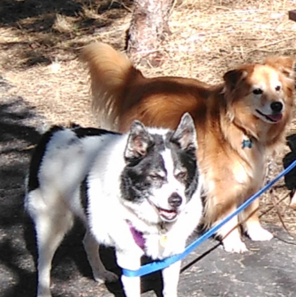 Meet your Posher, Aunt tata - Picture 4 of 8